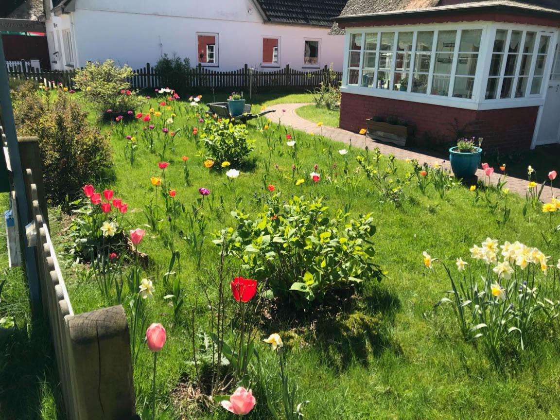 Hues Sanskiin Ferienwohnung *Goodshenk* Suddorf Bagian luar foto